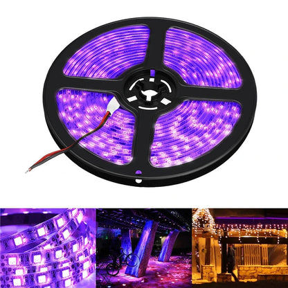 Purple Strip Lights